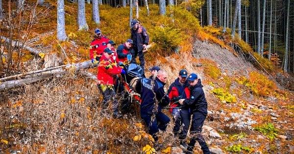 Рятувальні служби виявили тіло мешканця Львова, який трагічно загинув під час збору грибів у Карпатах.