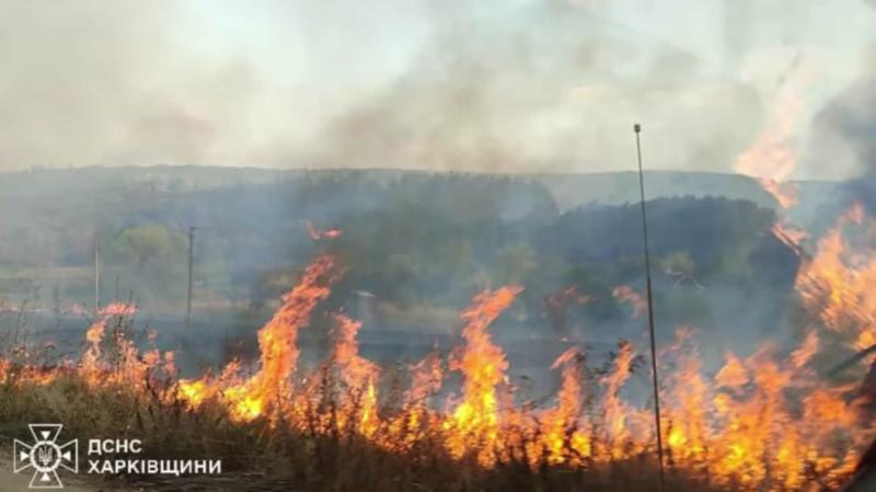 Вогонь знищив 1620 гектарів лісових масивів: на Харківщині вдалося повністю приборкати масштабну лісову пожежу.