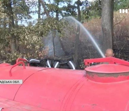 У Кіровоградській області внаслідок ворожих обстрілів знищено близько 200 гектарів лісових насаджень.