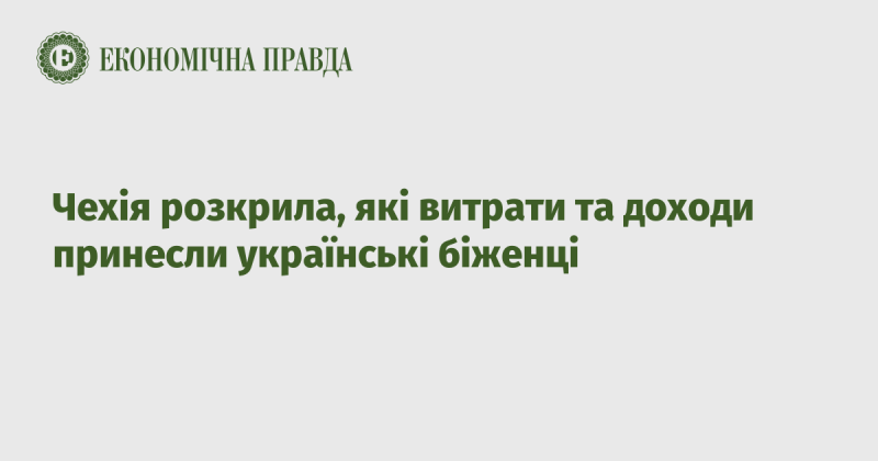 Чехія оприлюднила інформацію про фінансові витрати та доходи, пов'язані з українськими біженцями.