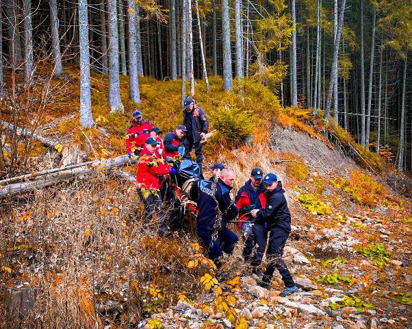 Зниклого грибника з Львівської області виявили мертвим в сусідньому регіоні.