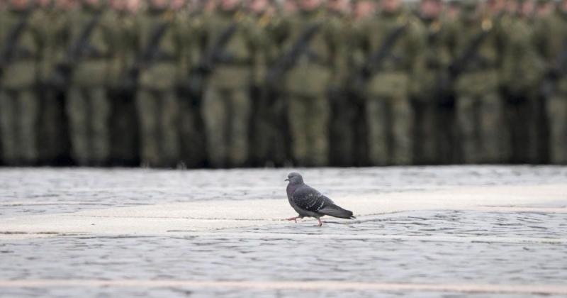 Росія планує наступальні дії на Запорізькому напрямку: аналіз експерта щодо потенційної загрози.