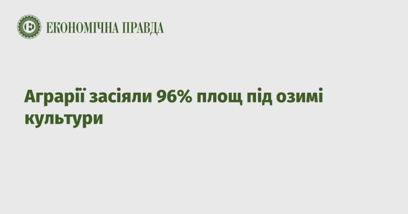 Аграрні підприємства засіяли 96% відведених площ під озимі рослини.