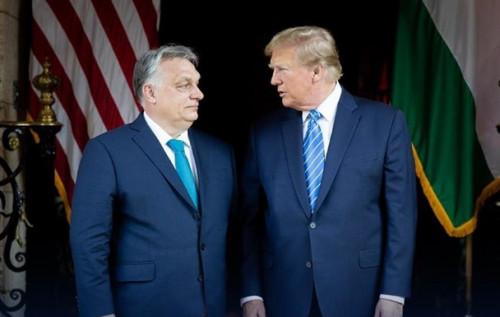 Несподіване об'єднання Трампа, Орбана і Папи Франциска може підважити підтримку України - The Independent